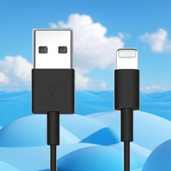 Collection image for: Apple Lightning naar USB
