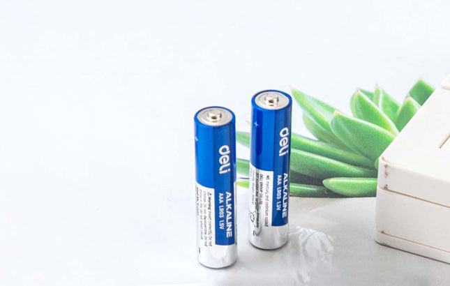 Wiederaufladbare Green Cell-Batterien, 2 x AAA HR03, 800 mAh