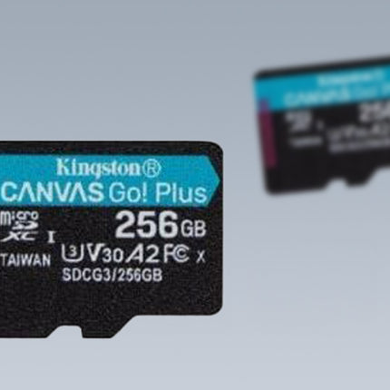 Geheugenkaart microSD 256GB Kingston Canvas Go Plus