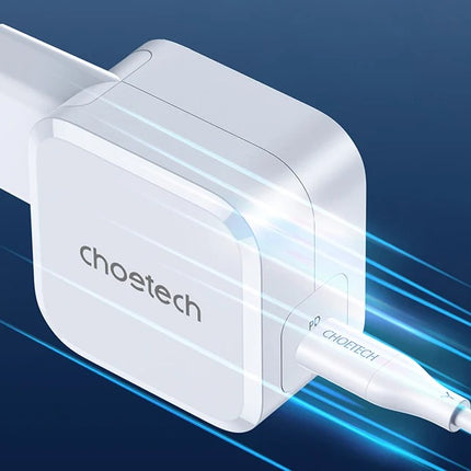 PD8007 USB-C PD 45W oplader Choetech EU (wit)