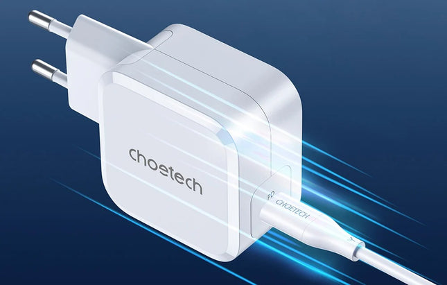 PD8007 USB-C PD 45W oplader Choetech EU (wit)