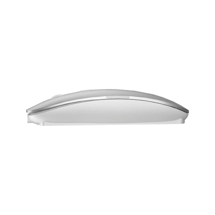WIWU WM101-C Bluetooth-muis (zilver)